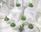 Set of 6 Mini Artificial Succulent Plants in Pots – Small Fake Potted Plants for Home Decor, Bedroom, Bathroom, Office Desk & Shelf Aesthetic Decorations